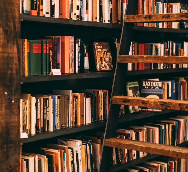 pexels-photo-1926988-1926988 Warm, inviting library scene featuring wooden shelves filled with colorful books and a rustic ladder.